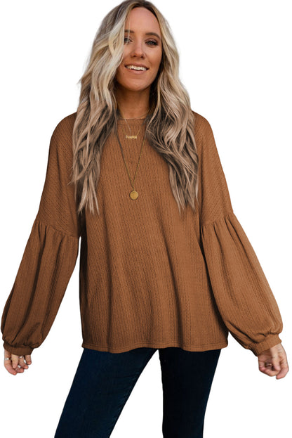 Brown Solid Color Textured Pullover Casual Top