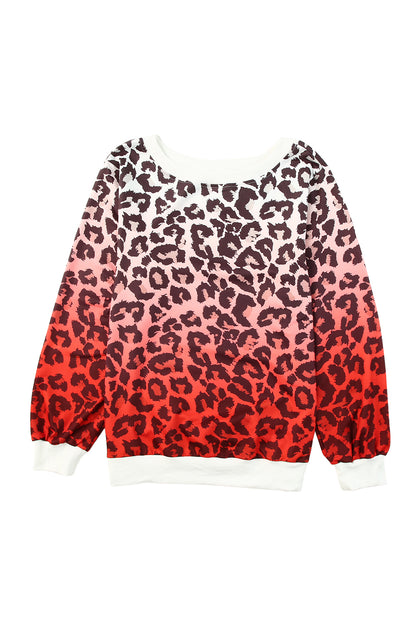 Cheetah Gradient Round Neck Long Sleeve Sweatshirt