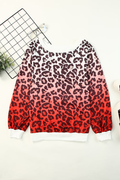 Cheetah Gradient Round Neck Long Sleeve Sweatshirt